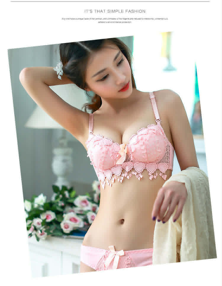 Elegant Bra Panty Set Padded Bra Woman Padded Lace Bra Panty Lingerie Set EMB-02