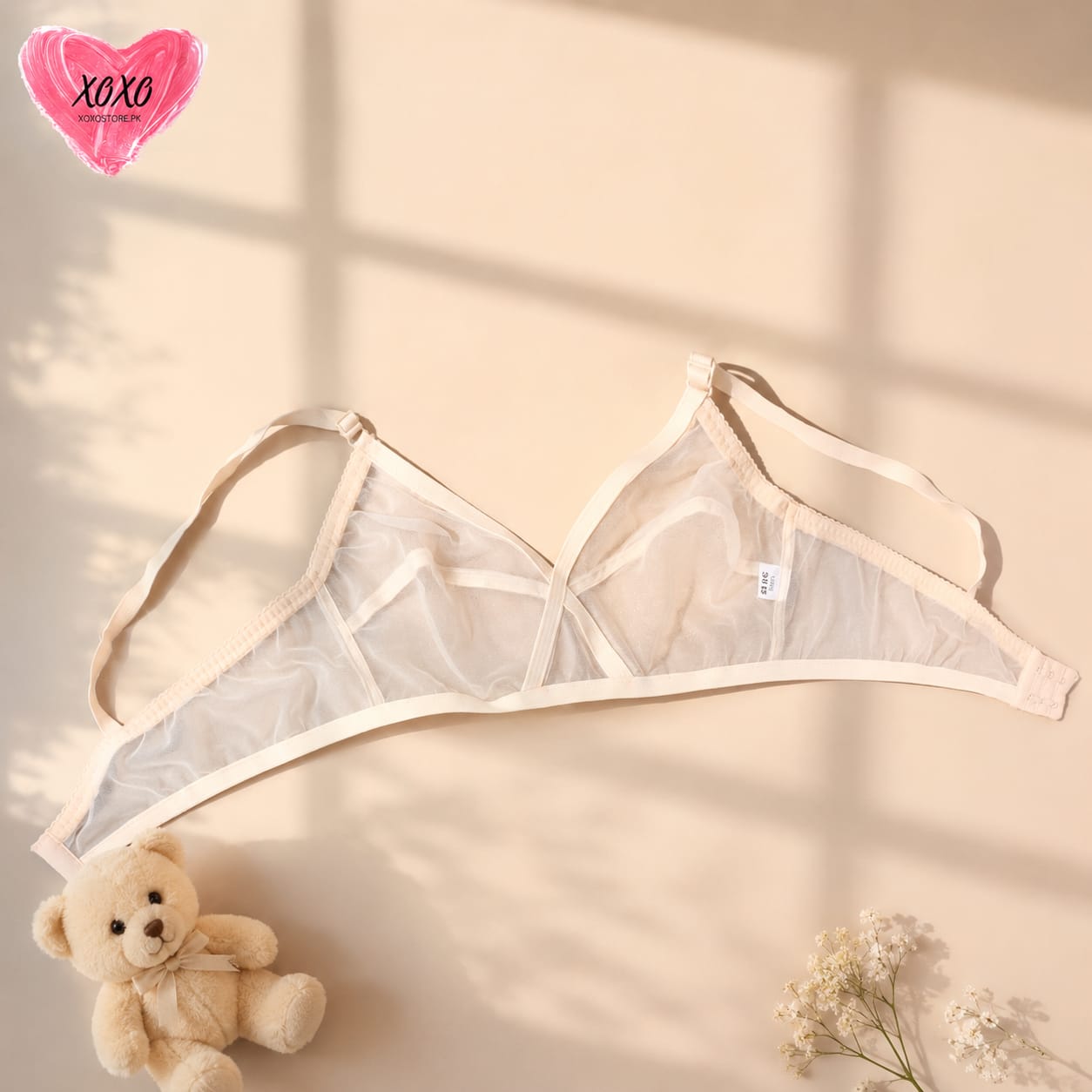 Aura Lace Bralette Collection Transparent Bra TS-01