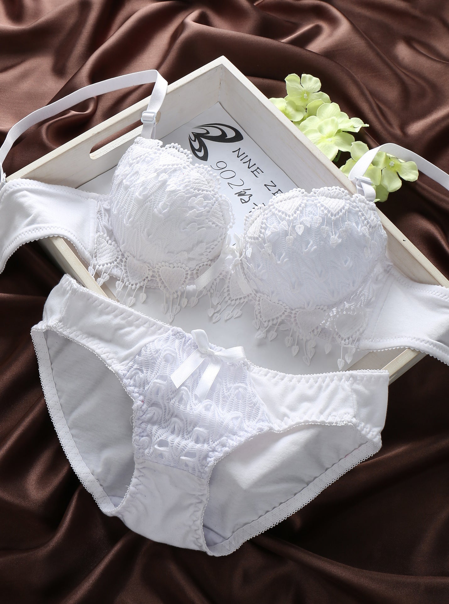 Sexy Bra Panty Set Padded Bra Woman Padded Lace Bra Panty Lingerie Set